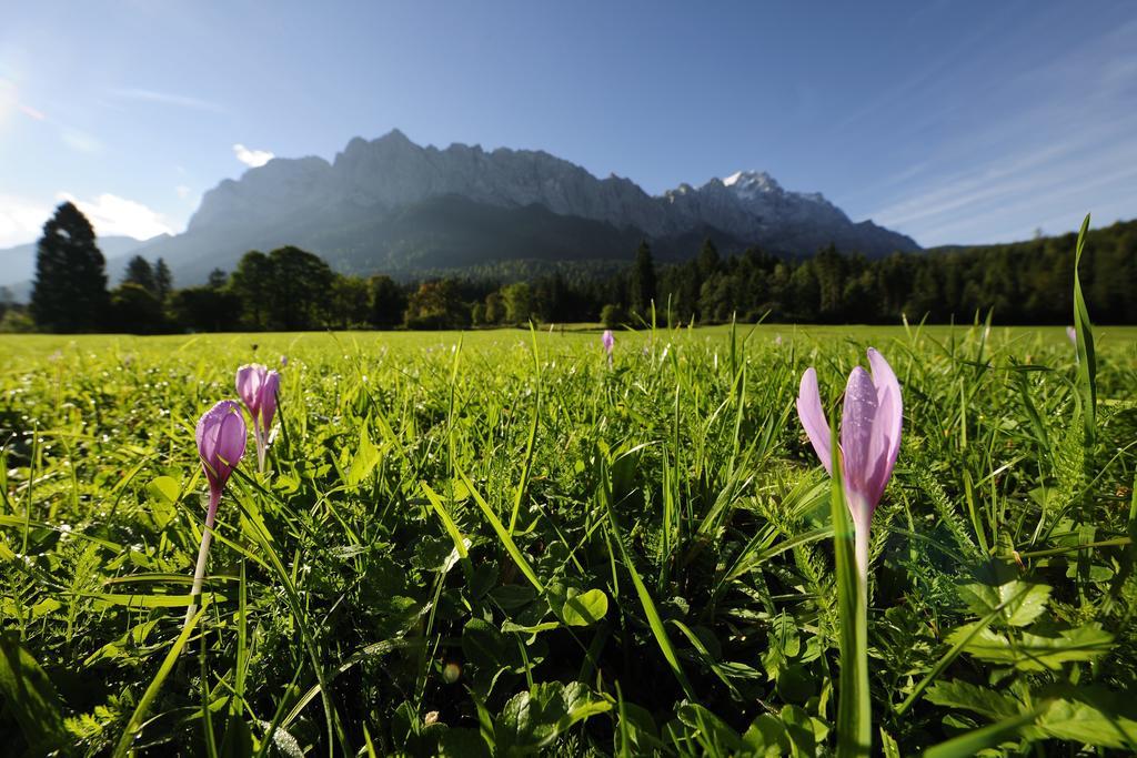 Romantik Alpenhotel Waxenstein Grainau Buitenkant foto